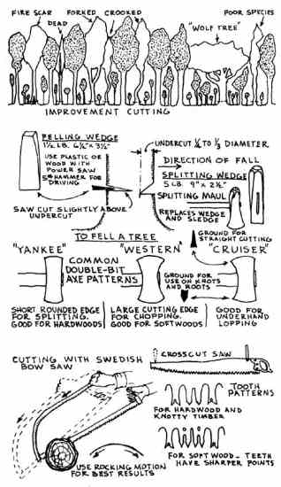 TOP: Factors to consider when deciding which trees to cull. MIDDLE: Tools and techniques to use for felling trees. BOTTOM: Types of saws and sawing techniques to use when cutting trees.